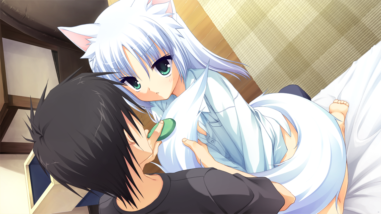 EV0203AA.png